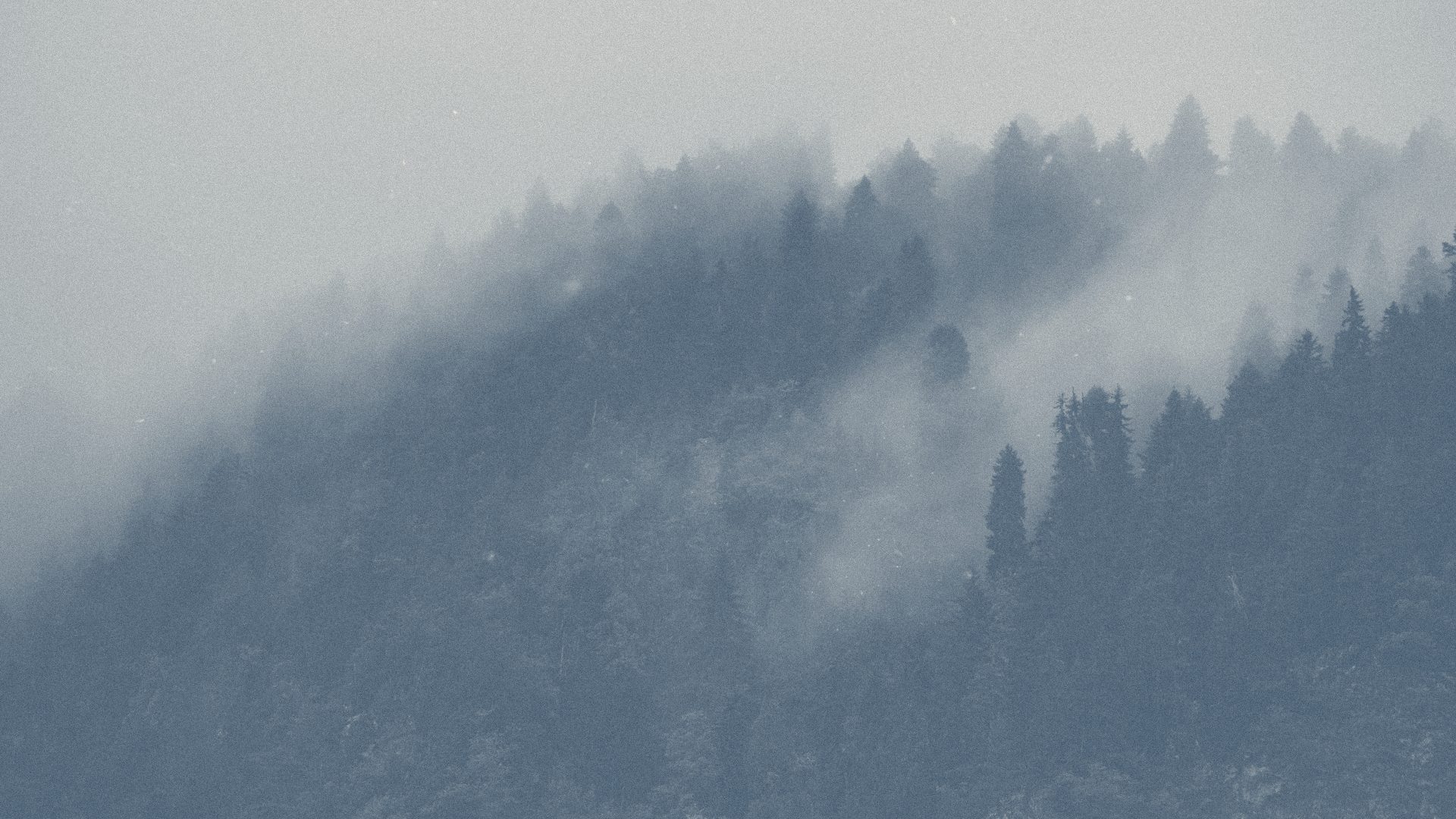 A simplified mountain range in flat tones