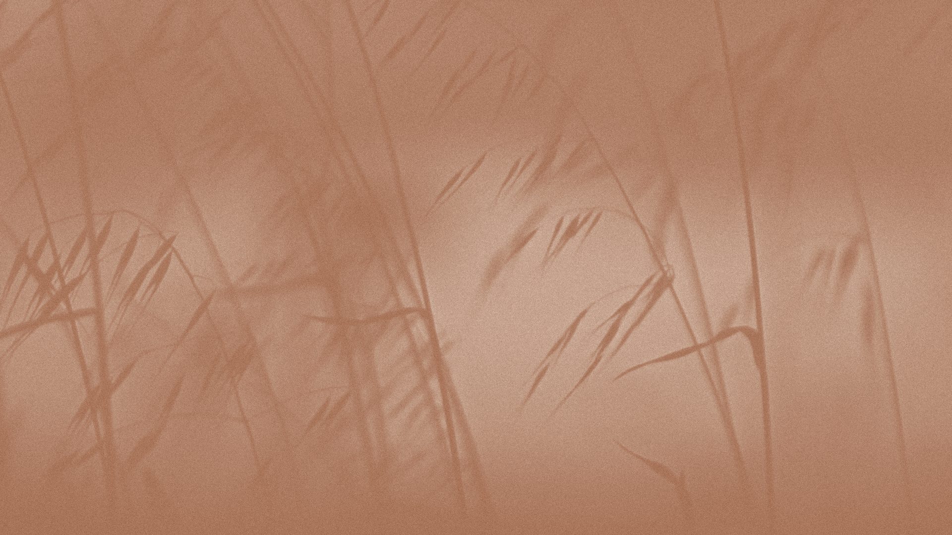 Body section