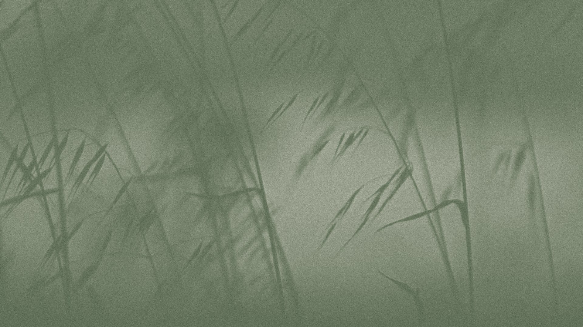 Meditation podcasts