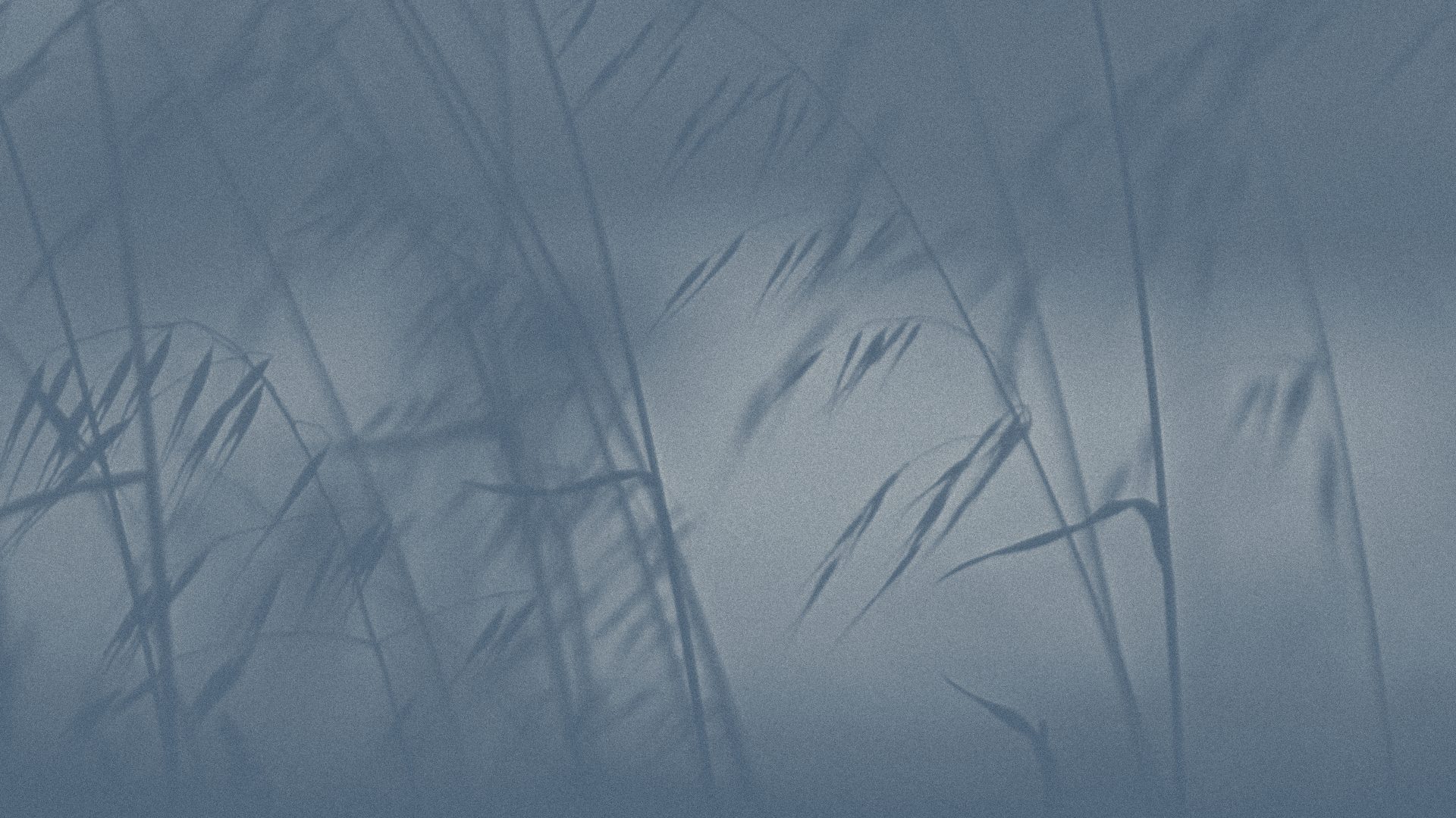 Beginning a meditation practice